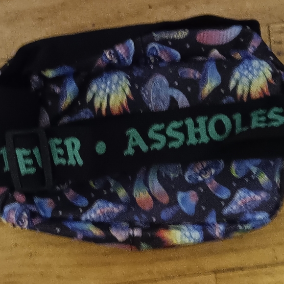 NEW Emotional Baggage Crossbody/Belt Bags - Picture 7 of 8